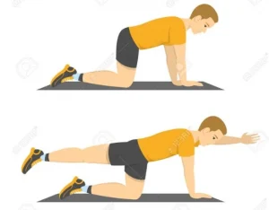 تمديد الكلب الطائر