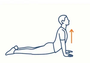 مد الظهر علي البطن